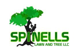 Spinells Lawn and Tree