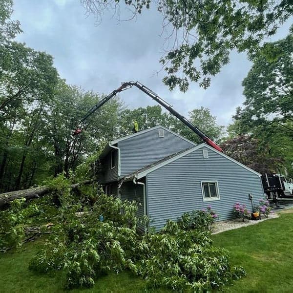 EMERGENCY STORM DAMAGE